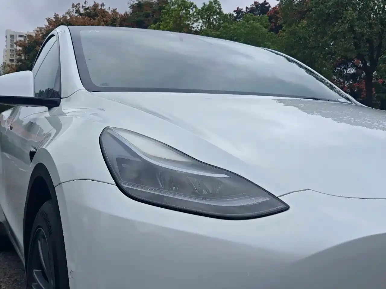 Tesla Model Y Long Range All-Wheel Drive Edition 2024 — фото 14