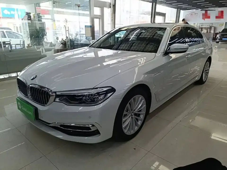 BMW 5 Series New Energy 530Le Luxury Package 2019