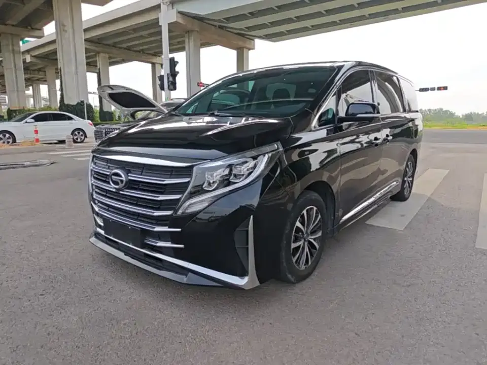 GAC Trumpchi M8 Leading Series 390T Premium Edition 2024