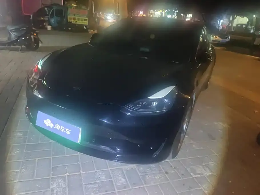 Tesla Model 3 Standard Range Rear-Wheel Drive Upgrade 3D6 2021