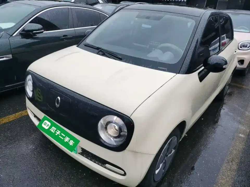 ORA Black Cat 301km Basic Model 2021