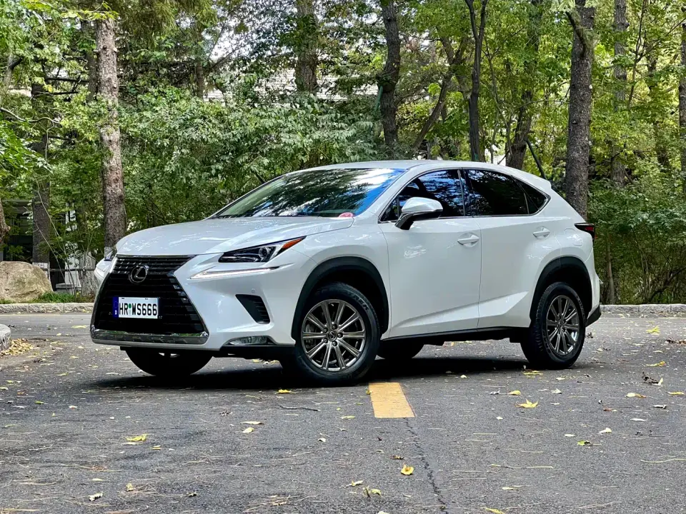 Lexus NX 200 FWD Fengyi Edition China VI 2020