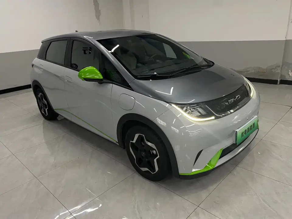 BYD Dolphin 405km Freedom Edition 2022