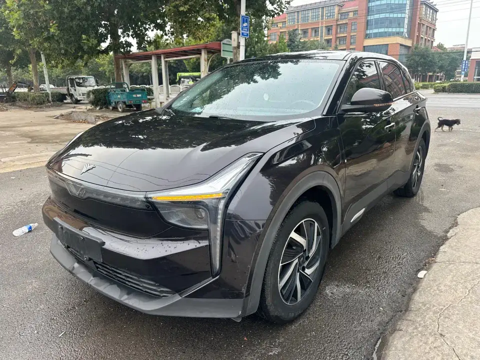 Neta U Pro 400 Cruise Edition 2021