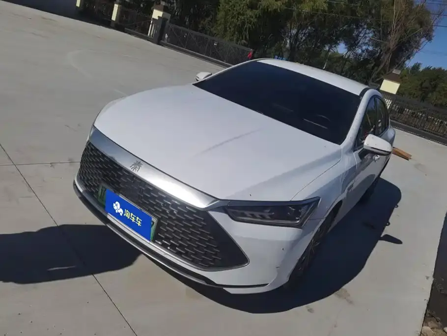BYD Qin PLUS Glory Edition DM-i 55KM Leading 2024