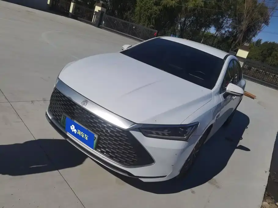 BYD Qin PLUS Glory Edition DM-i 55KM Leading 2024