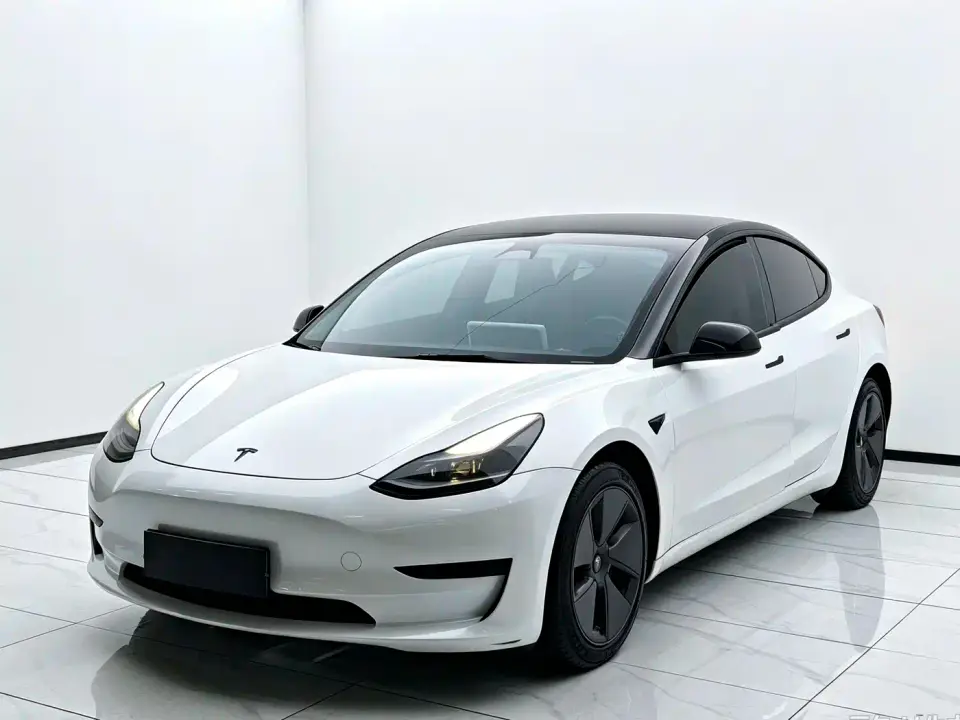 Tesla Model 3 Model Rear-Wheel Drive Version 2022