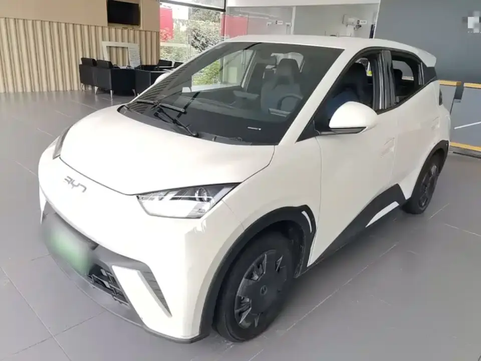 BYD Seagull Glory Edition 305km Vitality Edition 2024