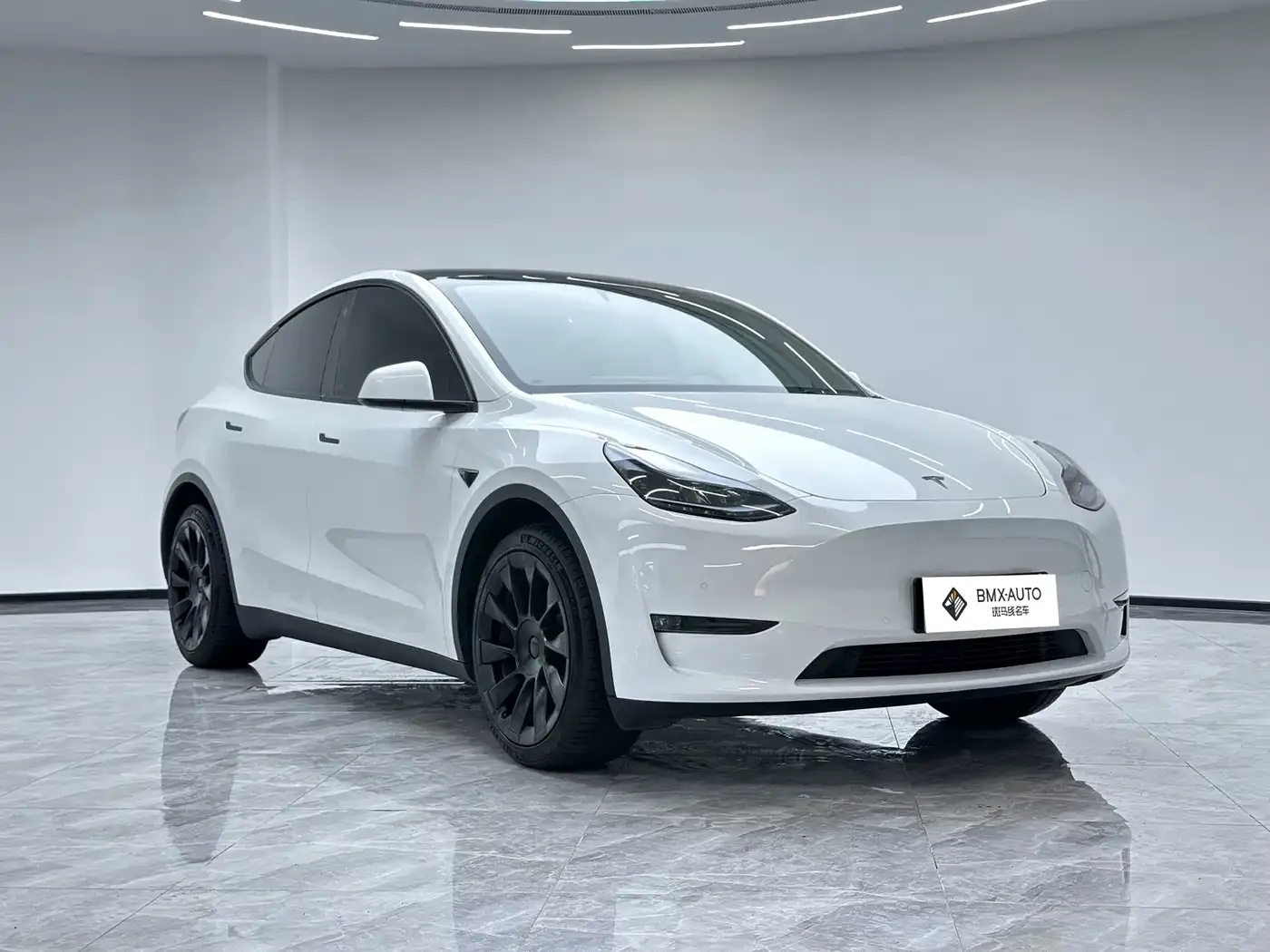 Tesla Model Y Long Range All-Wheel Drive Edition 2024 — фото 4