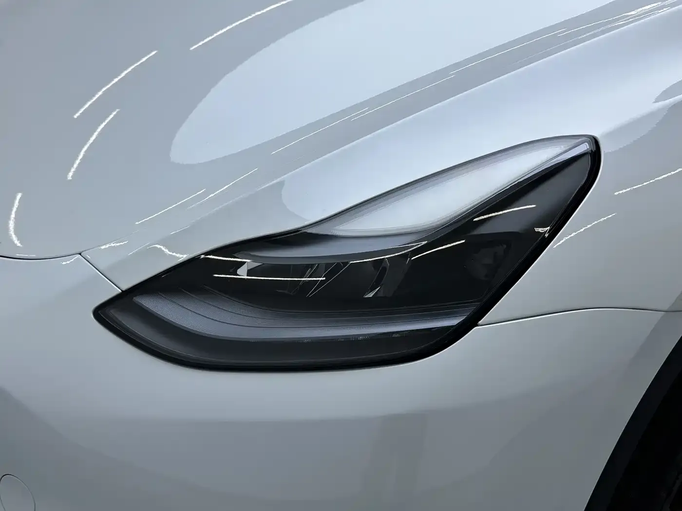 Tesla Model Y Long Range All-Wheel Drive Edition 2024 — фото 10