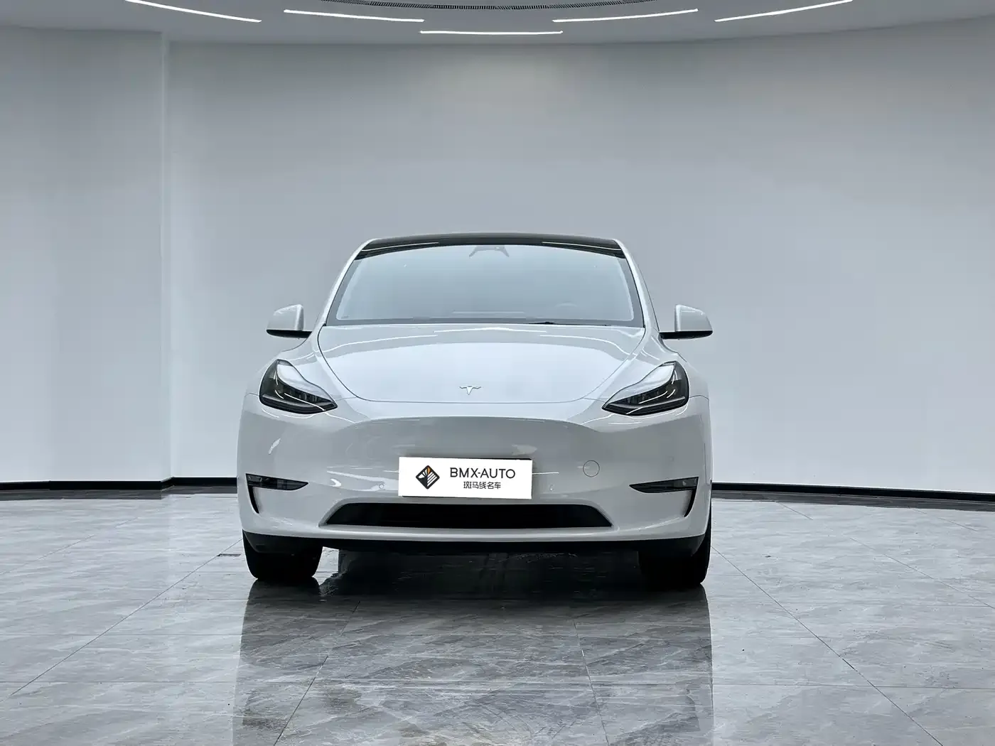 Tesla Model Y Long Range All-Wheel Drive Edition 2024 — фото 2
