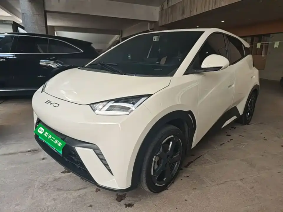 BYD Seagull Glory Edition 305km Freedom Edition 2024