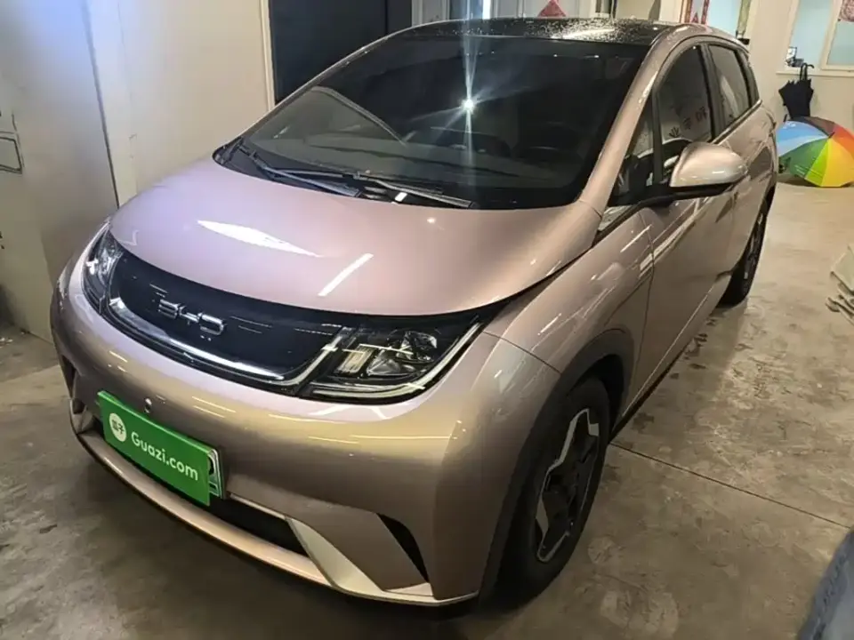 BYD Dolphin Model 405km Fashion Edition 2022