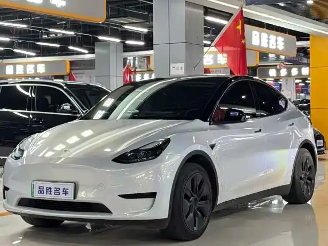 Tesla Model Y Rear-Wheel Drive Edition 2024