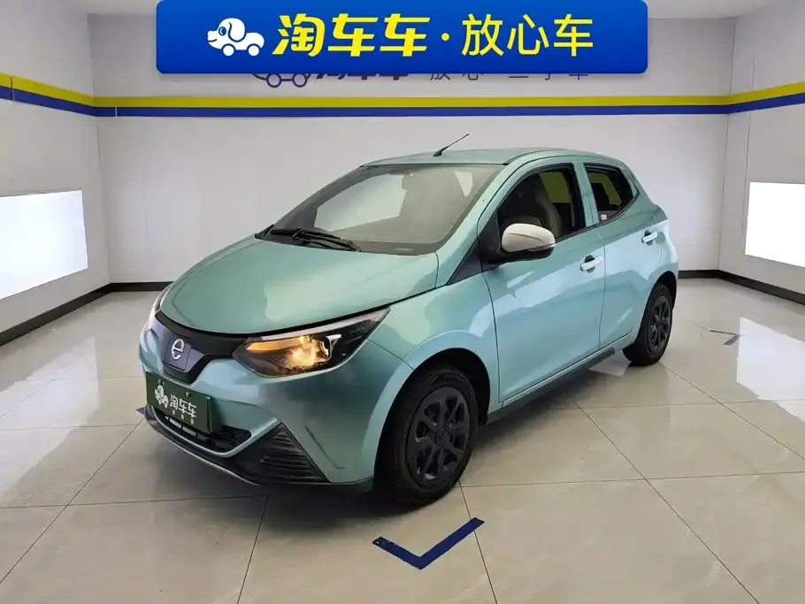 JMCG New Energy Little Kirin Heartbeat Edition 2024