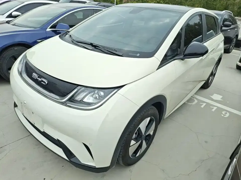 BYD Dolphin 420km Fashion Edition 2024