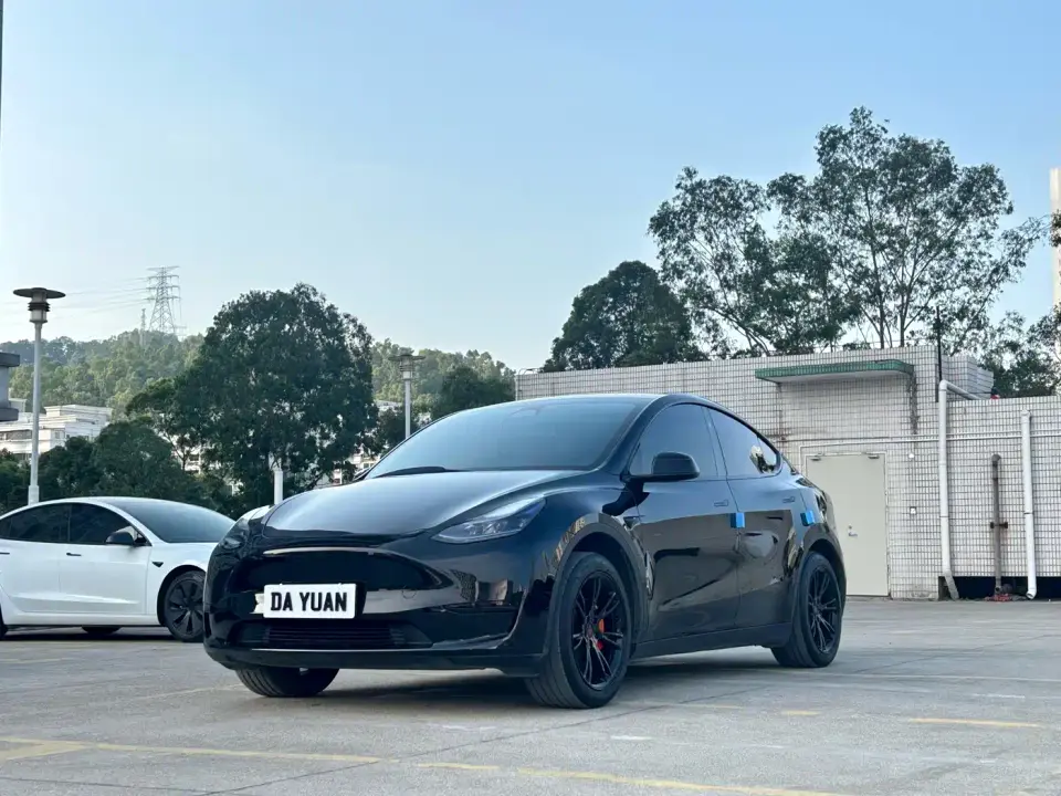 Tesla Model Y Rear-Wheel Drive Version 2024