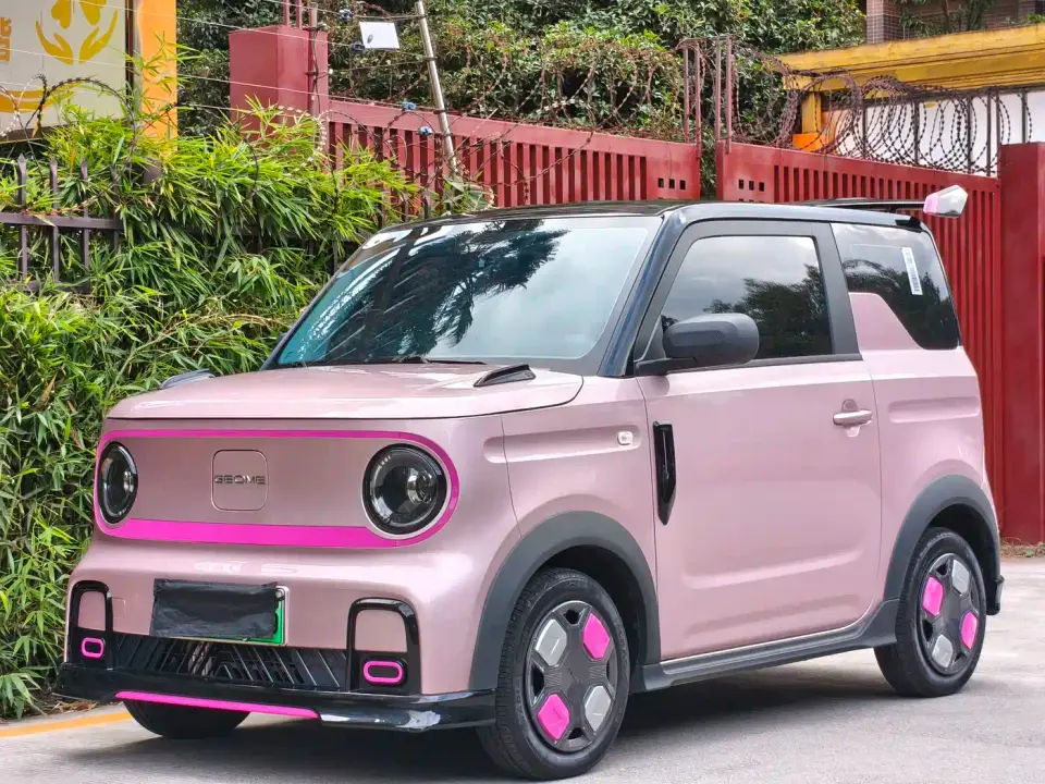 Geely Galaxy Panda Model Year 210km Panda Kart 2025