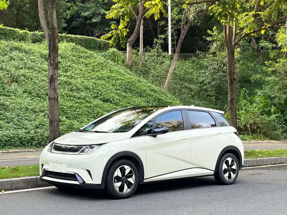 BYD Dolphin Glory Edition 420km Fashion Edition 2024