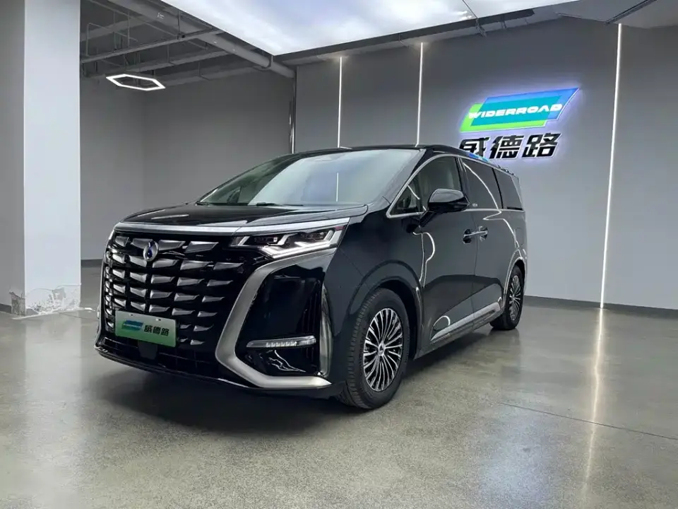 Denza D9 DM-i 980 AWD Premium 2025