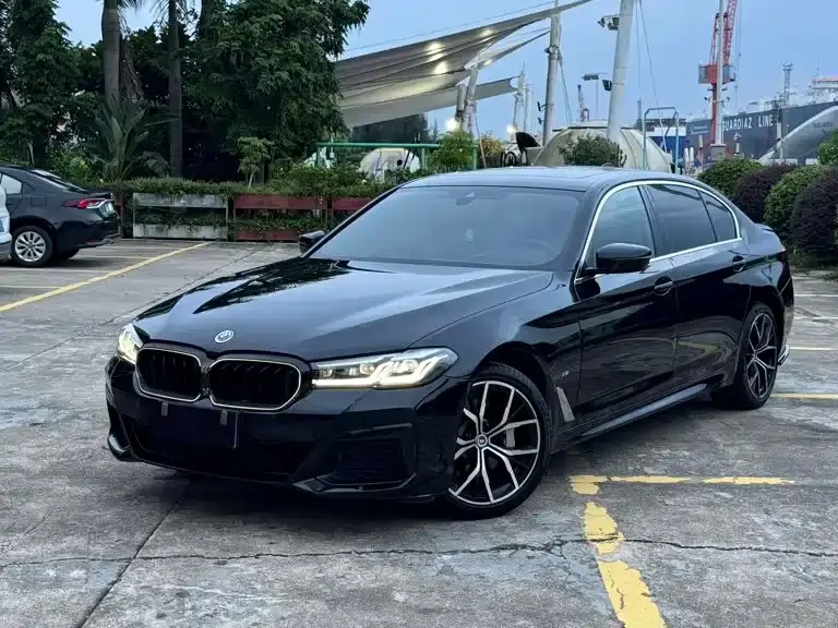 BMW 5 Series 530Li Exclusive M Sport Package 2021