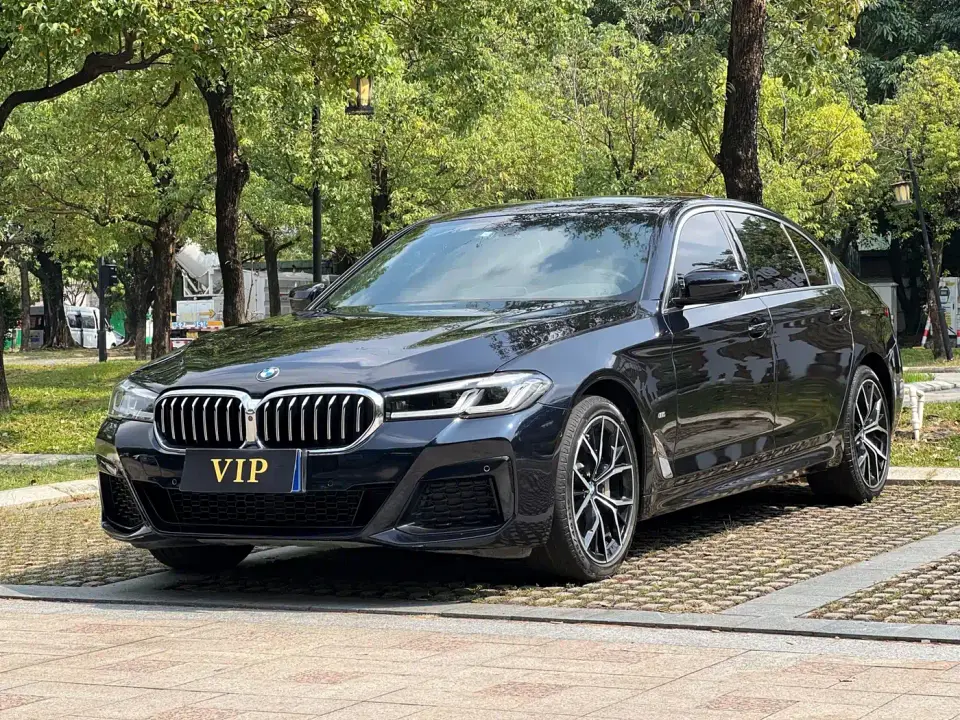 BMW 5 Series 530Li Premium M Sport Package 2020
