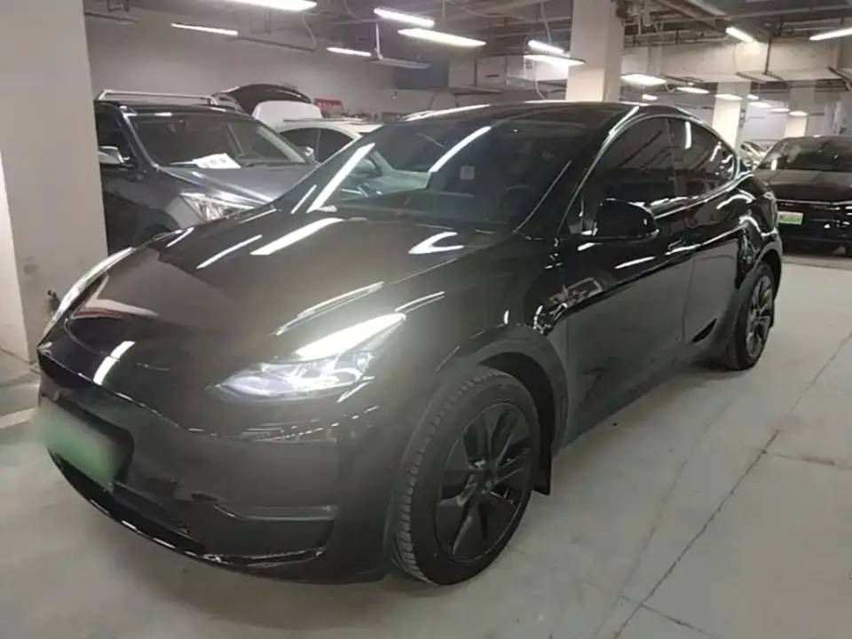 Tesla Model Y Long Range All-Wheel Drive Edition 2024