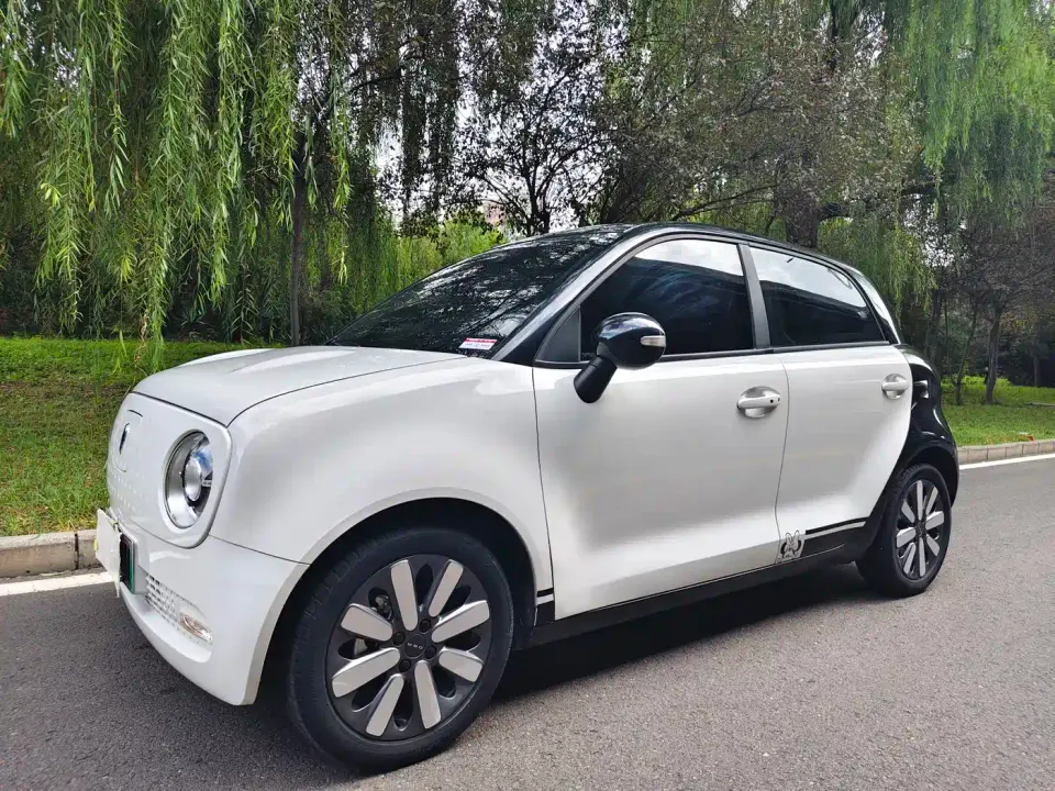 ORA Black Cat 351km Luxury Model 2021