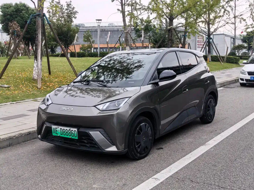 BYD Seagull Glory Edition 305km Vitality Edition 2024