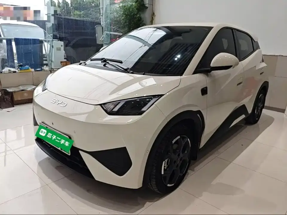 BYD Seagull Smart Drive Edition 305km Freedom Version 2025