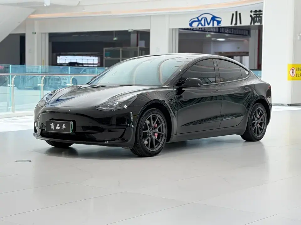 Tesla Model 3 Model Rear-Wheel Drive Version 2023