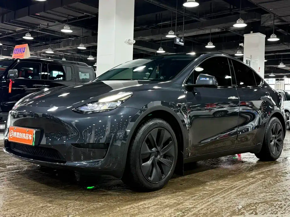 Tesla Model Y Rear-Wheel Drive Version 2024