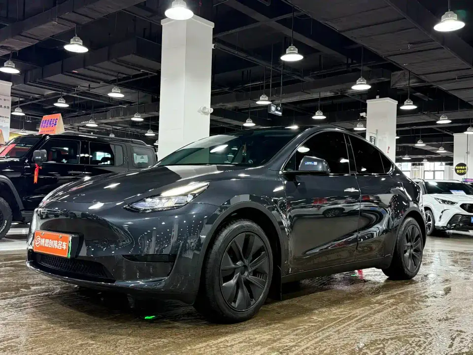 Tesla Model Y Rear-Wheel Drive Version 2024