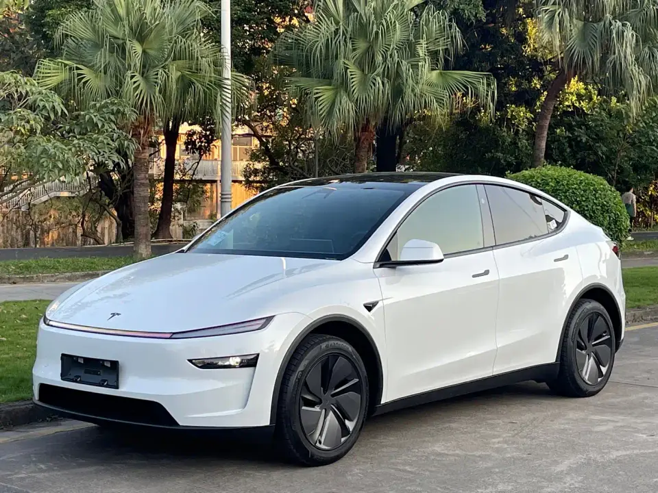 Tesla Model Y Long Range Rear-Wheel Drive 2026