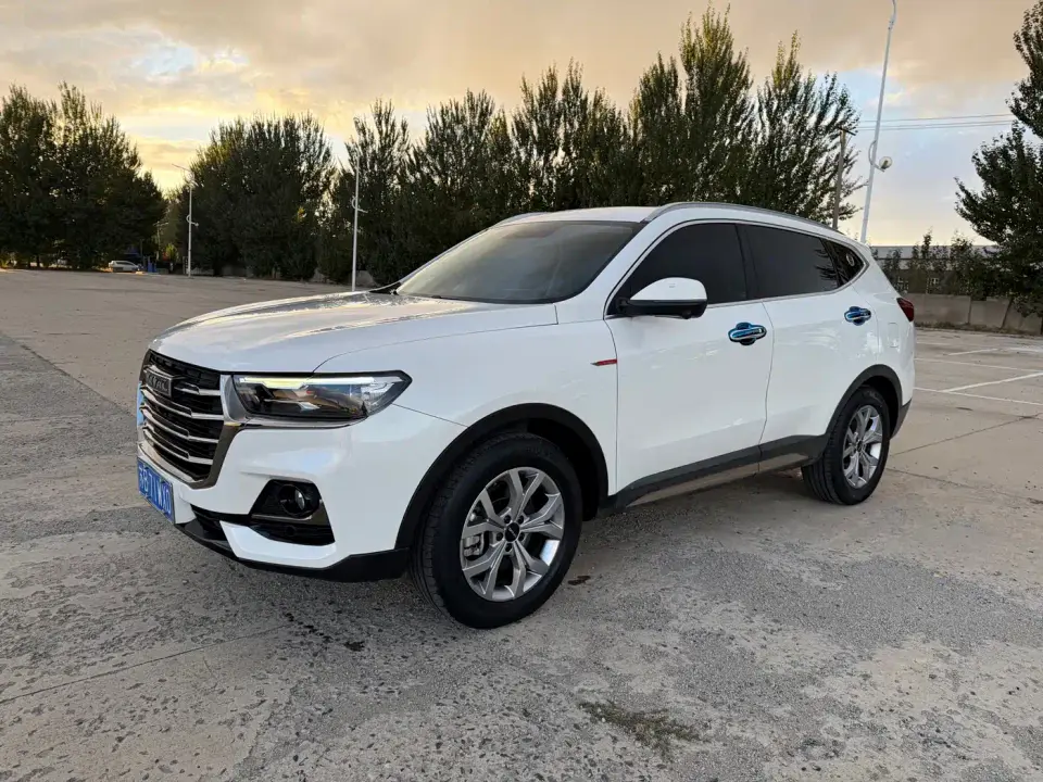 Haval H6 Model National Trend Edition 1.5T Auto Champion 2022