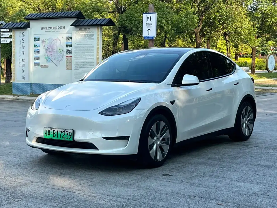 Tesla Model Y Standard Range Rear-Wheel Drive 2021