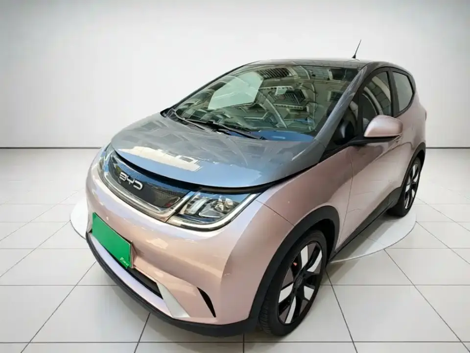 BYD Dolphin 401km Knight Edition 2022