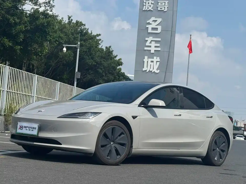 Tesla Model 3 Model Rear-Wheel Drive Edition 2025