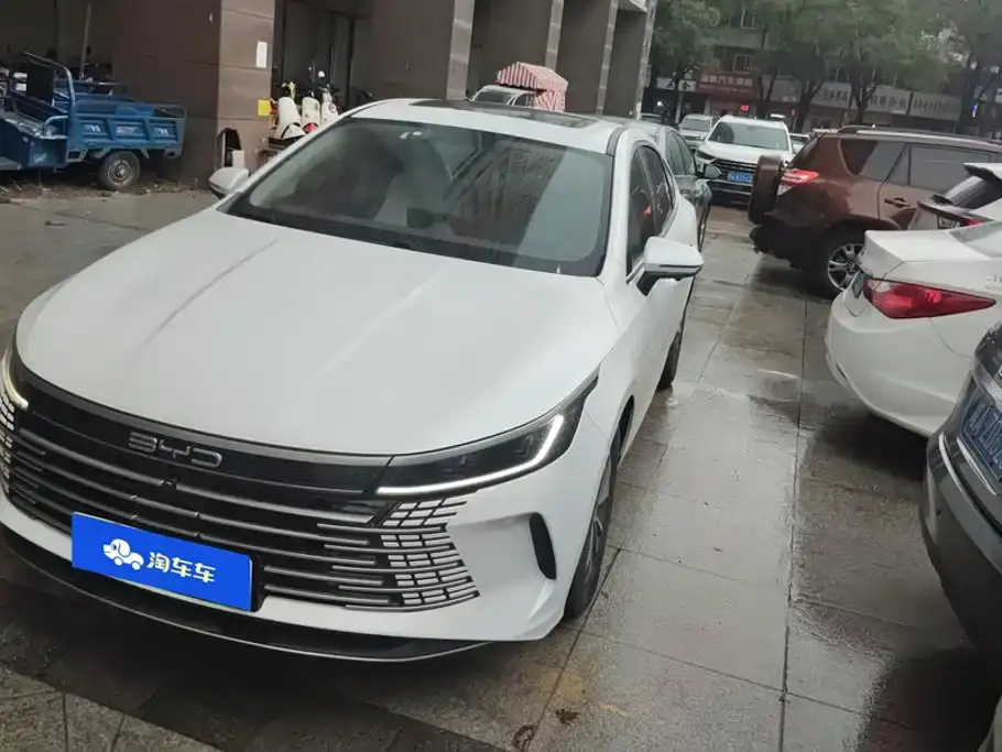 BYD Destroyer 05 Champion Edition DM-i 55KM Premium 2024