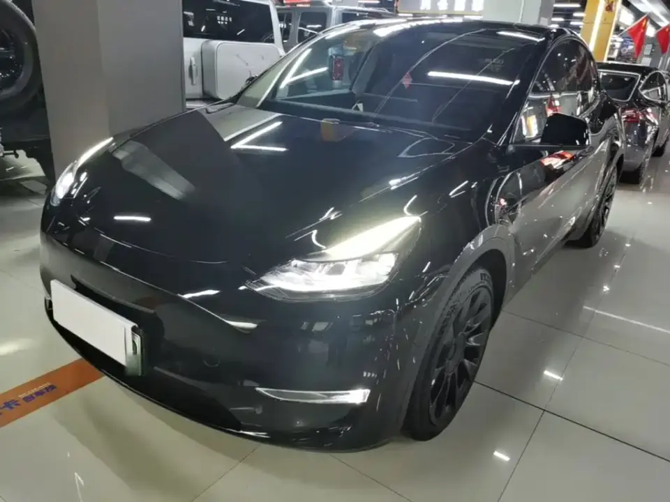 Tesla Model Y Standard Range Rear-Wheel Drive 2021