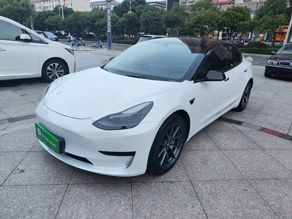 Tesla Model 3 Standard Range Rear-Wheel Drive Upgrade 3D6 2021