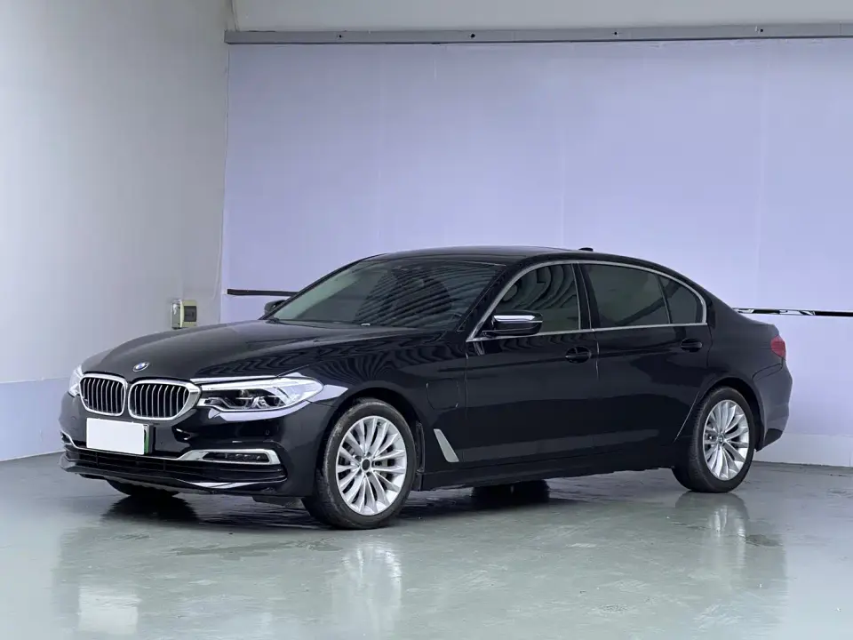 BMW 5 Series New Energy 530Le Luxury Package 2019
