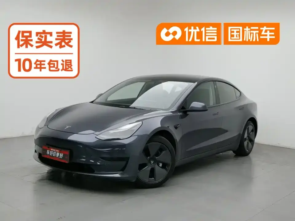Tesla Model 3 Standard Range Rear-Wheel Drive Upgrade 3D6 2021