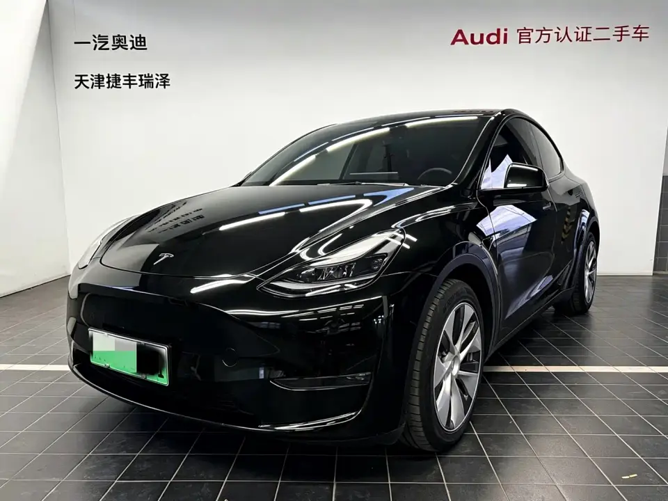 Tesla Model Y Standard Range Rear-Wheel Drive 2021