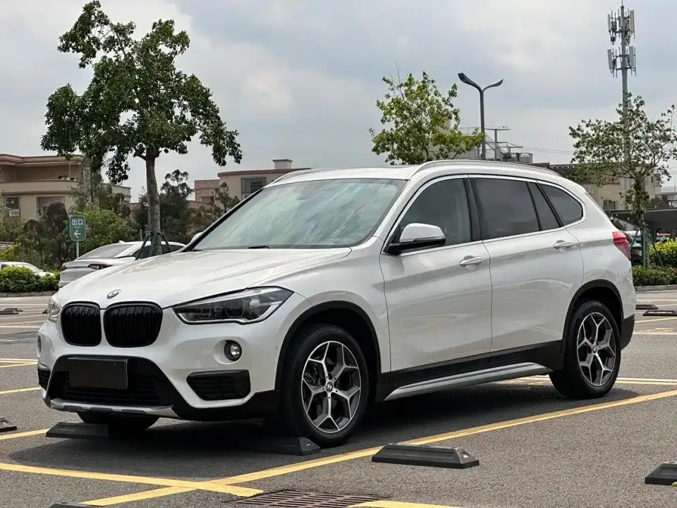 BMW X1 xDrive20Li Luxury Model 2019