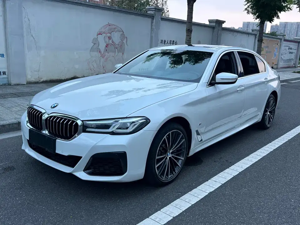 BMW 5 Series 530Li Leading M Sport Package 2020