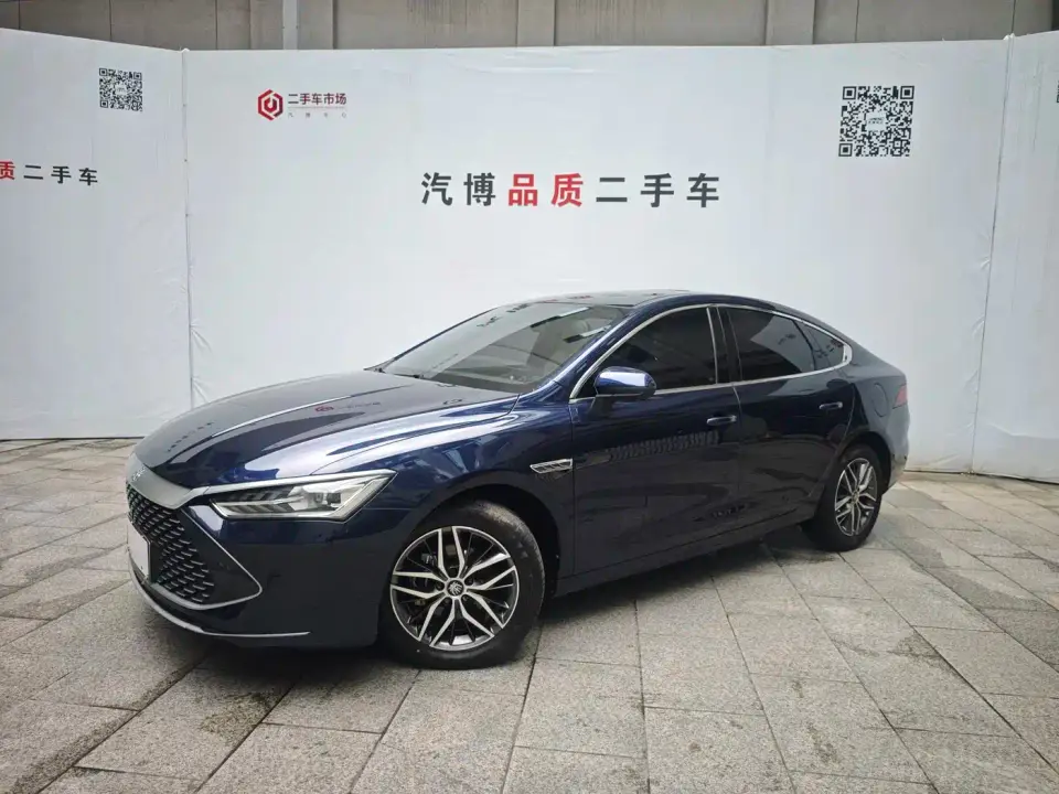 BYD Qin PLUS Glory Edition DM-i 55KM Surpass 2024
