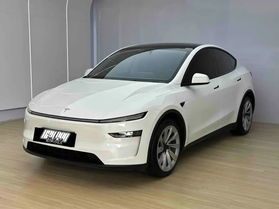 Tesla Model Y Long Range All-Wheel Drive 2025
