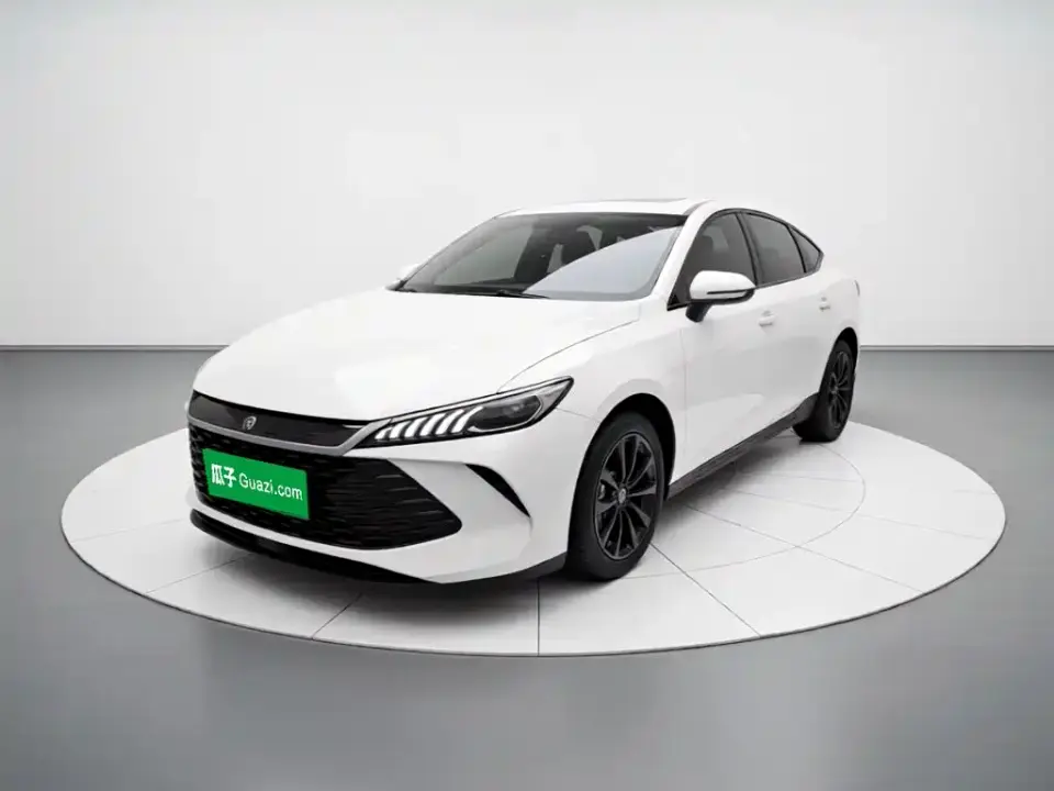 BYD Qin PLUS DM-i Smart Drive 55KM Leader 2025