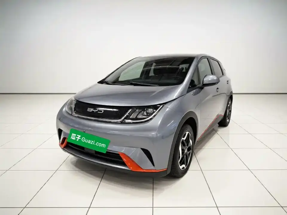 BYD Dolphin Model 405km Fashion Edition 2022